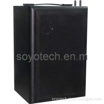 Digital Wireless Wall Mount Speaker (SOYO-WSDH-01)